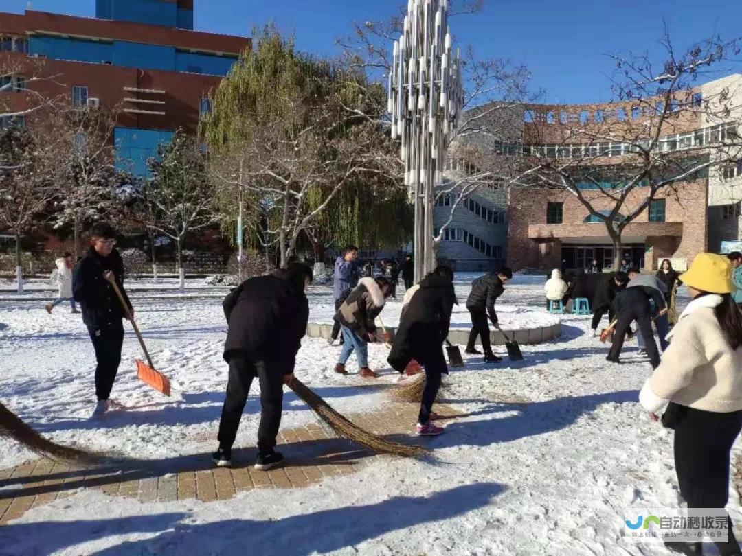 直击冬日除雪现场 感受基层工作者的辛勤与坚韧