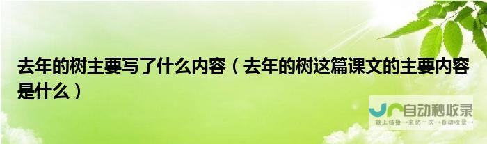 解析去年的上海外贸新局面