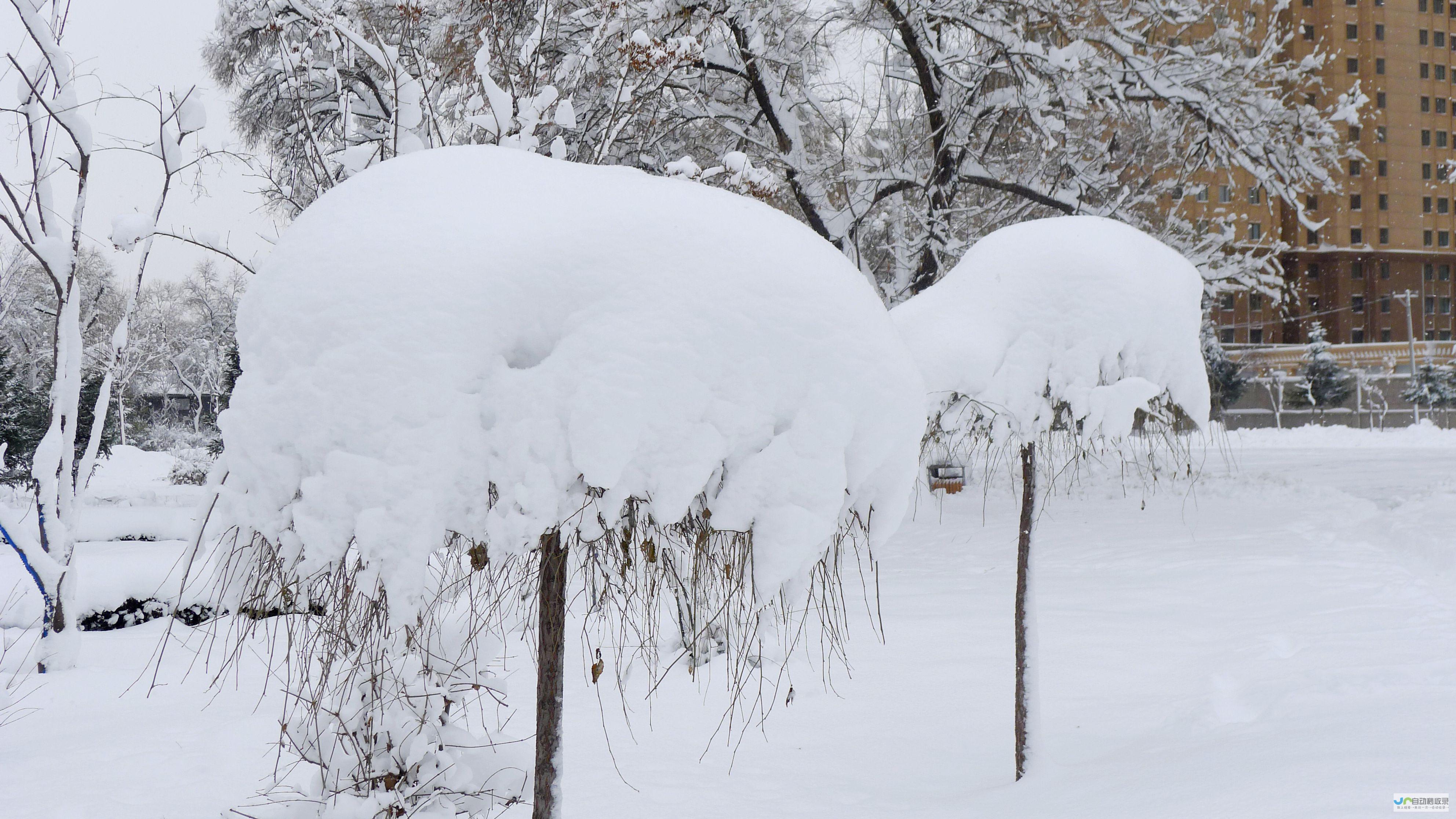 强降雪