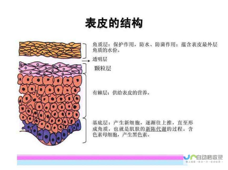 探寻颜十六身份背景及组织赴泰拍戏内幕