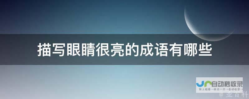 具体表现亮眼