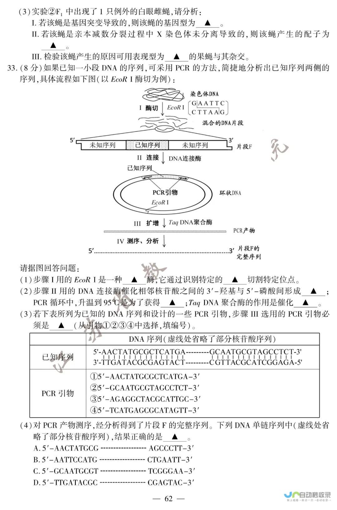 江苏高考2024全国几卷