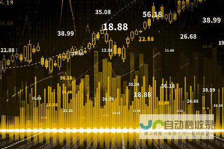 最新市场行情解析