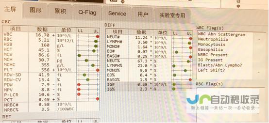 定位纯血性能旗舰 Pro竞速版 真我手机发布GT7 市场格局或将重塑