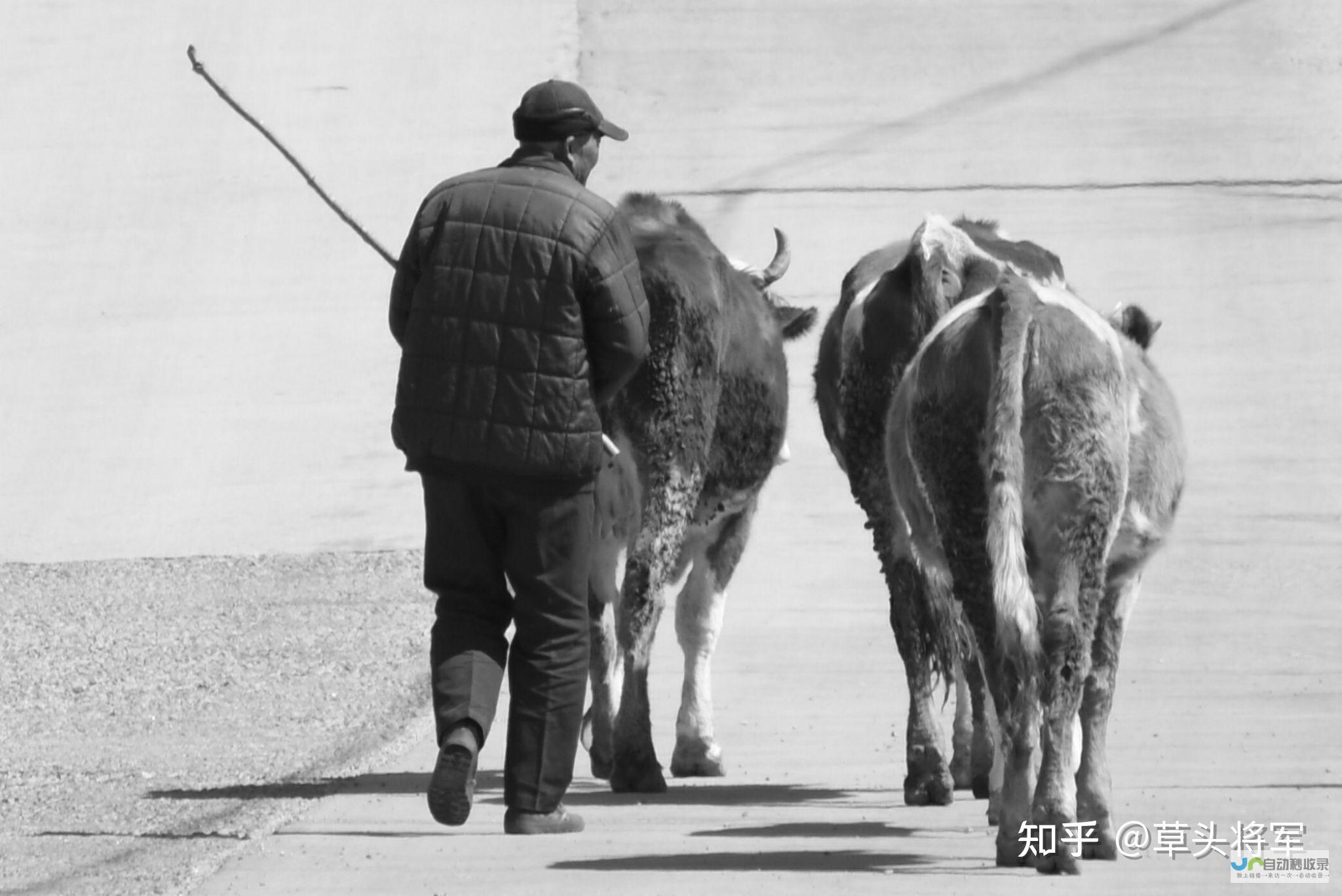 他们是孤独的守护者 在漫长的铁路线上