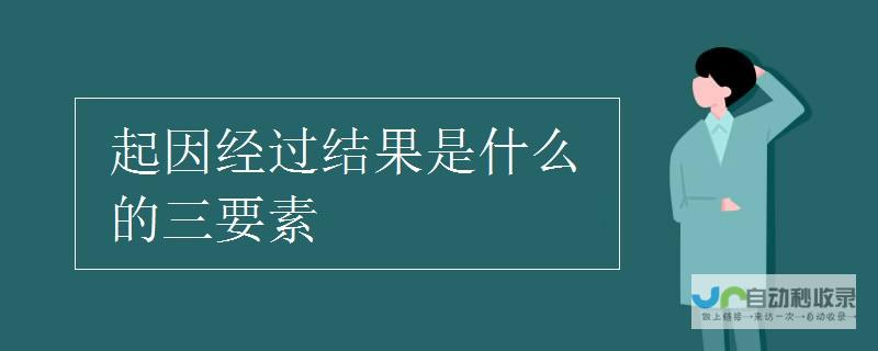 背后的动因与社会