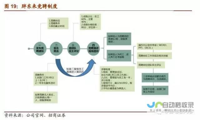 红内裤掉色