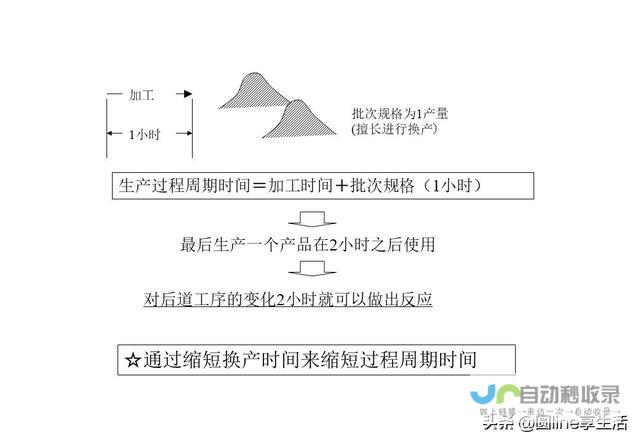 探索TP的起源与发展