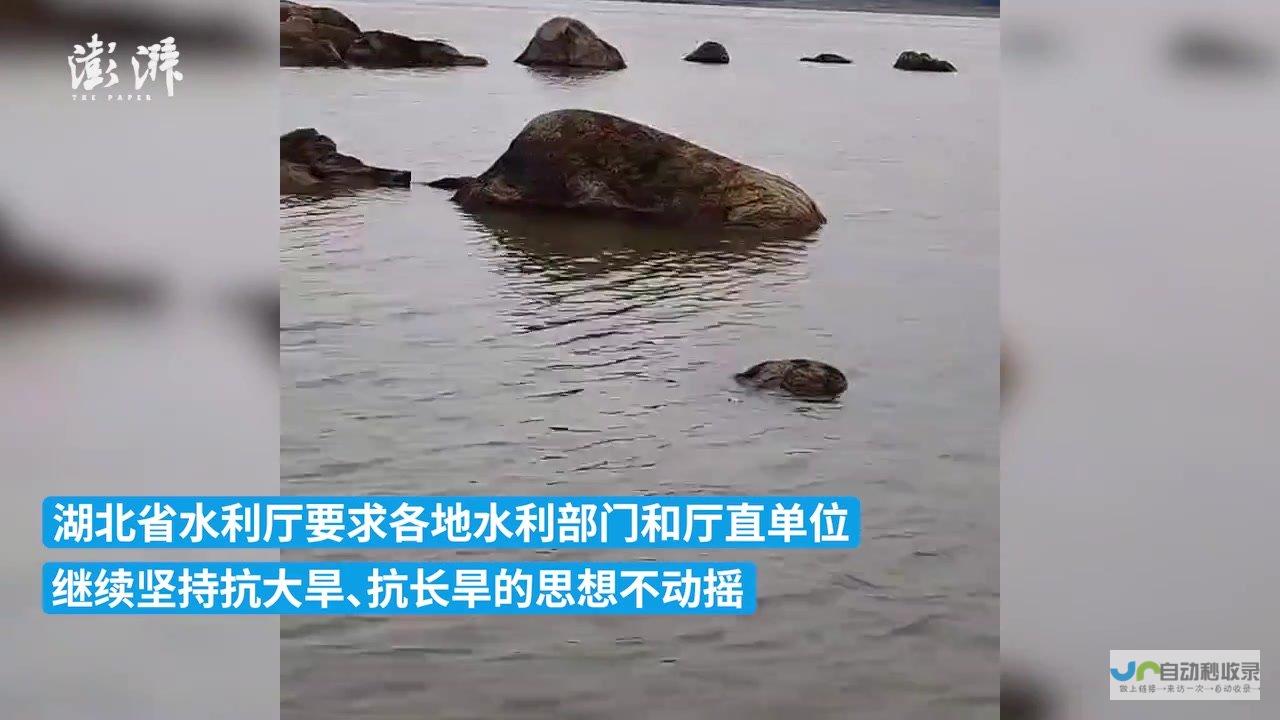 应急响应终止 水质断面全线持续稳定达标