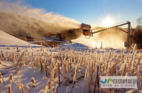 引领冰雪产业迈向新时代 点燃城市经济新引擎