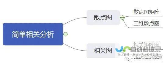 相关解析和亮点前瞻