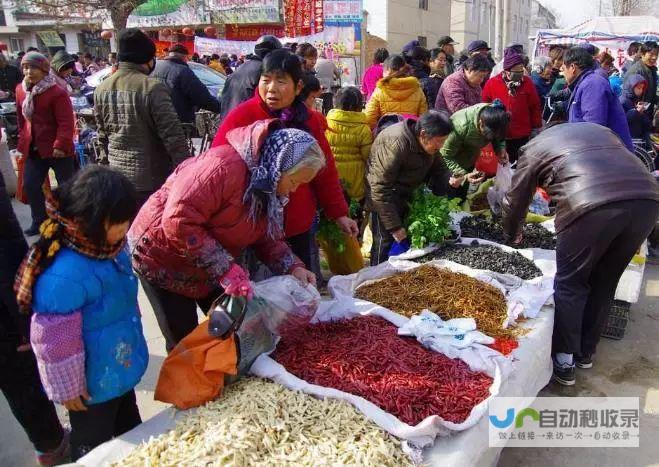 各集市时间全解析