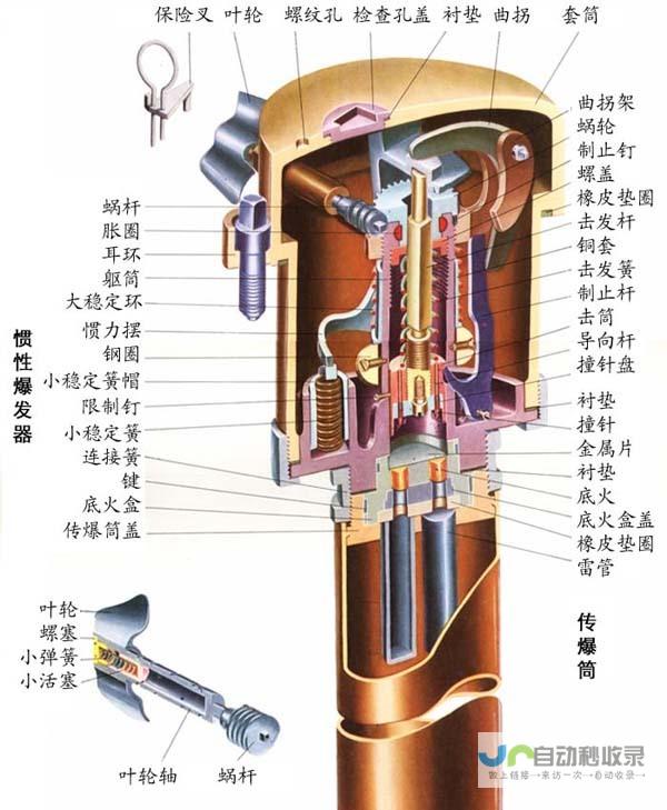 为何此事件引发广泛关注与讨论