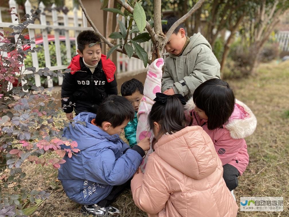 从亚冬会窥探中国冰雪运动的魅力