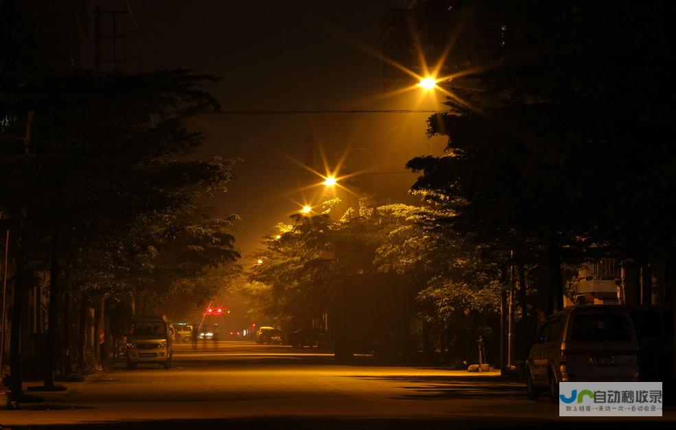 穿越寂静的夜晚 探寻雪山的神秘面纱