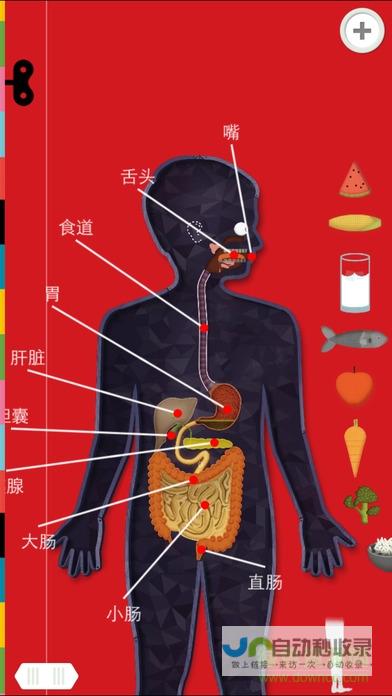 揭秘人体正常温度范围及其健康标准