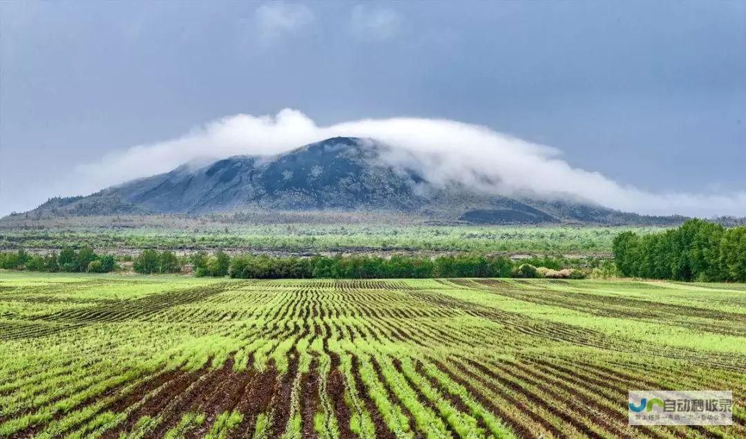 展现黑土地上如火如荼的竞技盛景