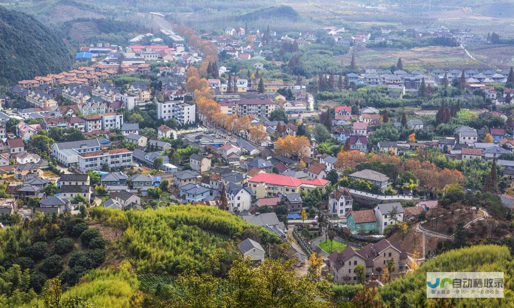 鲍鱼助力县域