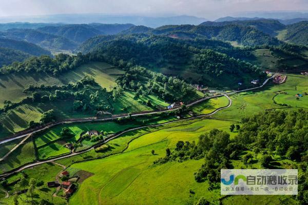 元宵节期间奉献逾560项精彩文旅活动