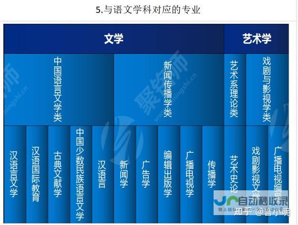 特色解析与选择指南