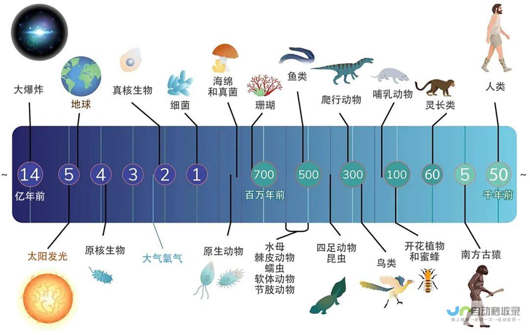 生物演变与历史探源