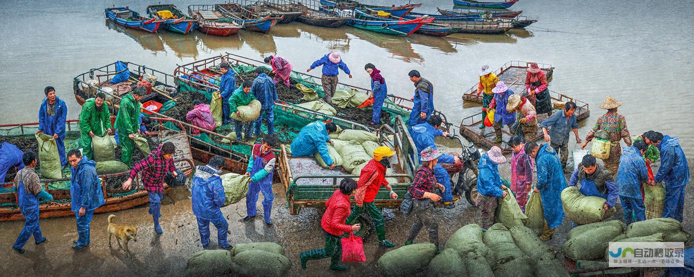 潮流出海跃浪起步新标杆