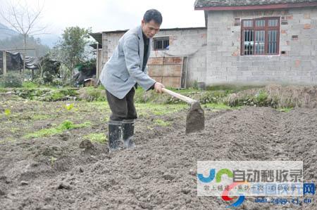 人勤春来早——全国多地农业生产一线见闻概览