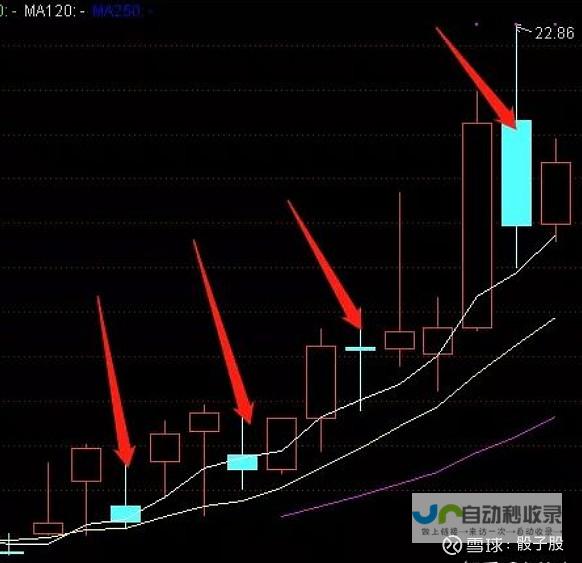 DR股票为何直接跌了20点