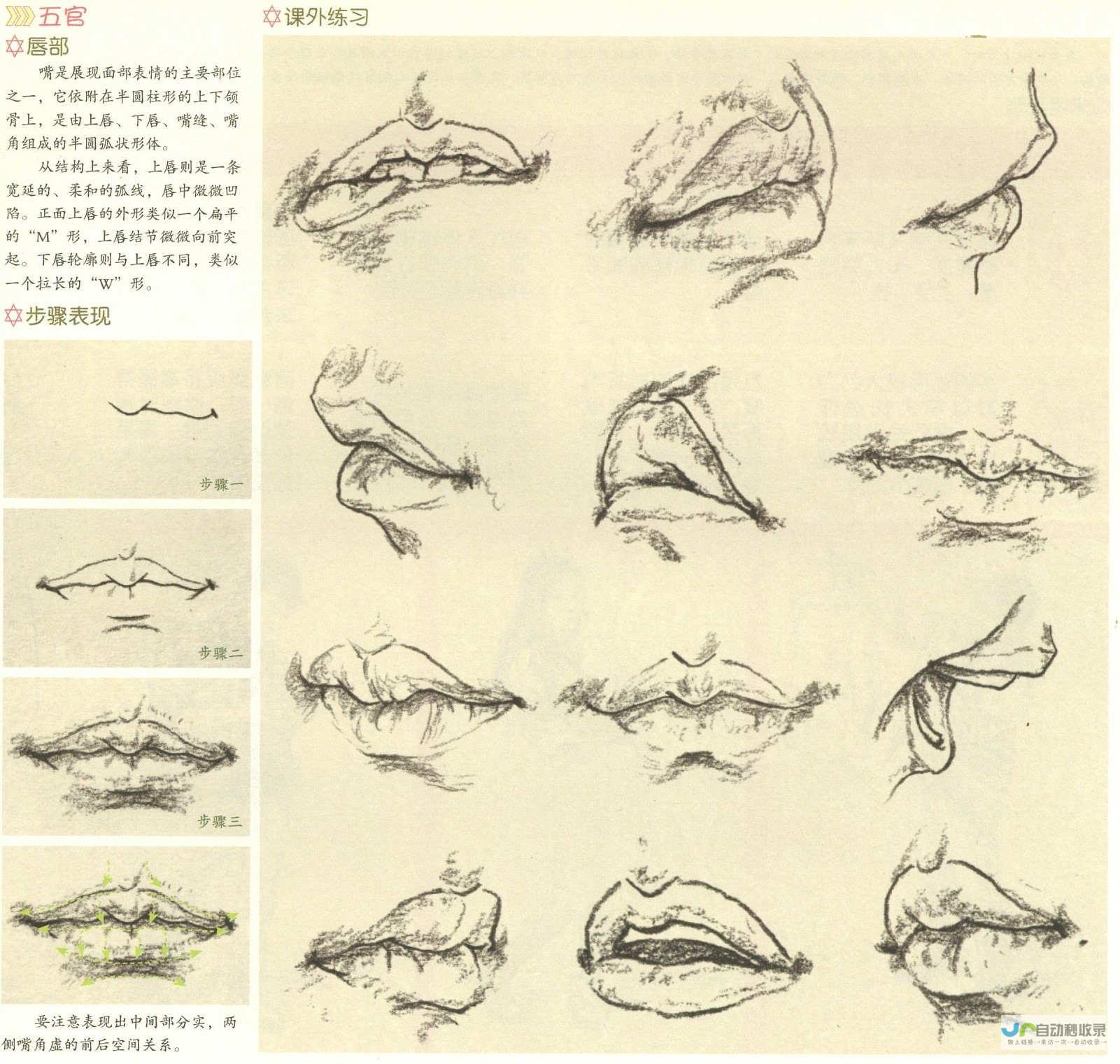 详细操作步骤