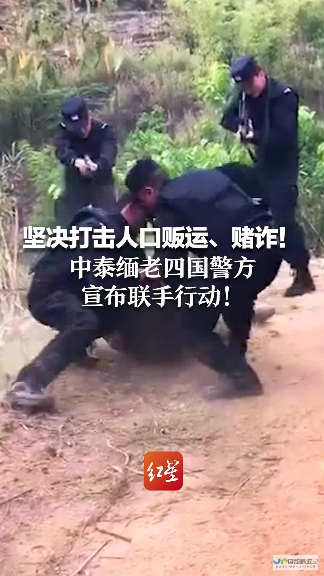 警方行动打击卖惨引流灰产链