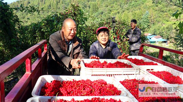 确保农业丰收在望 积极应对季节挑战