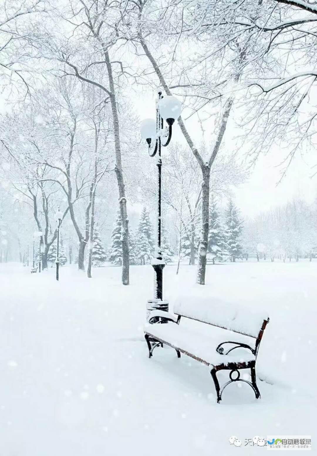 雪花纷飞下的文明多样性 探寻习语中的文化深度