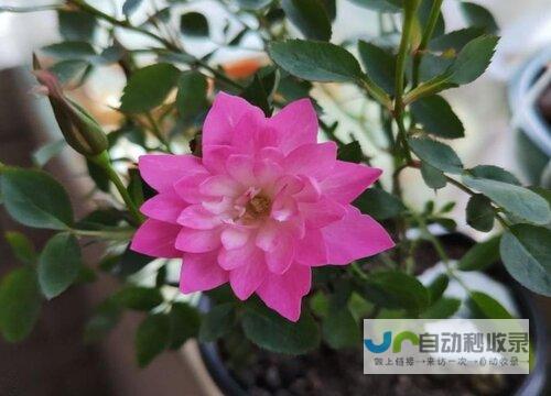 季节月份及持续全解析