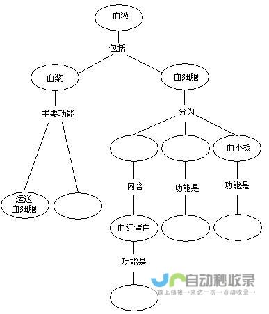 备战未来考场