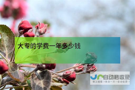 学费因不同专业