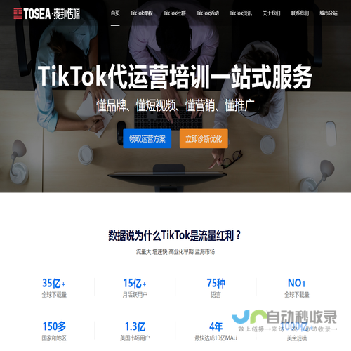 TikTok+AI外贸电商总裁班