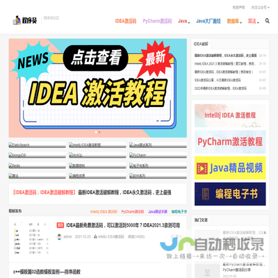 IDEA激活码