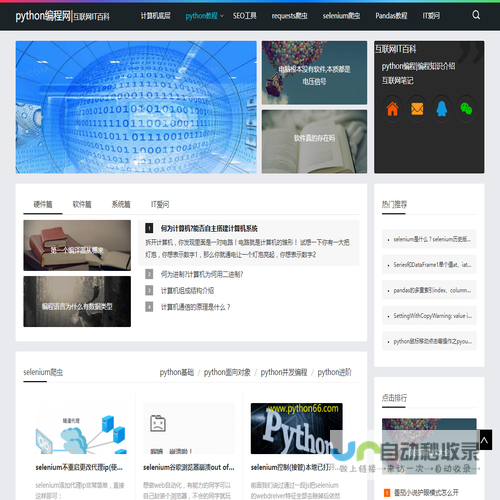 python编程网