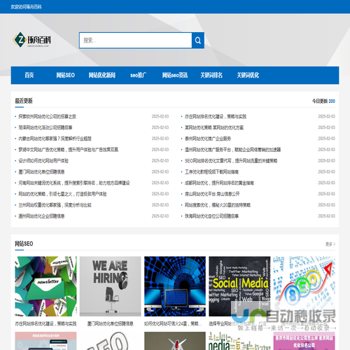 琢舟网站优化