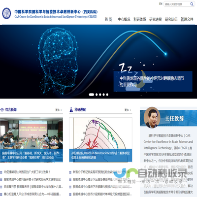 中国科学院脑科学与智能技术卓越创新中心（四类机构）