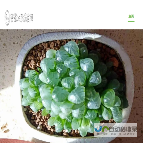 桂林多肉植物网