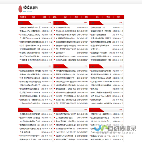 鼓鼓囊囊网