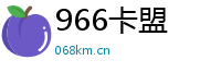 966卡盟