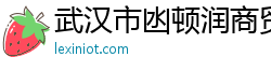 武汉市凼顿润商贸有限公司