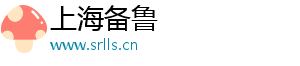 上海备鲁数字科技有限公司