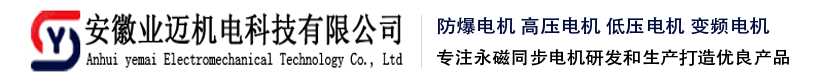 永磁同步电机/防爆/高压/低压/变频/三相同步电机批发价格/生产厂家