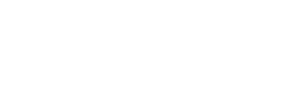 橘猫精选