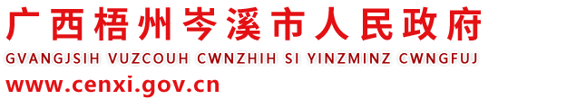 广西梧州岑溪市人民政府门户网站