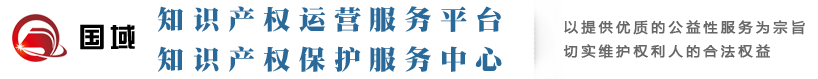 国域知识产权运营服务平台&国域知识产权保护服务中心