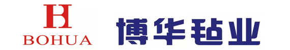 河北省南宫市博华毡业有限公司